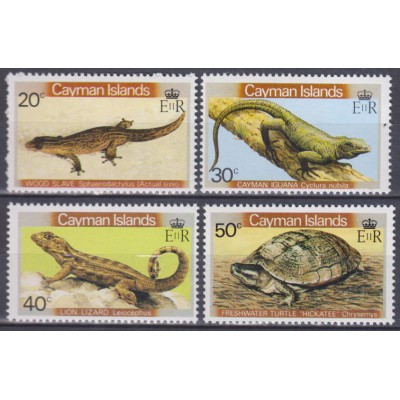 Fauna de las islas caimanes Reptiles